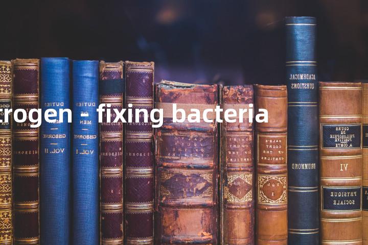 nitrogen - fixing bacteria单词图解，单词释义场景配图