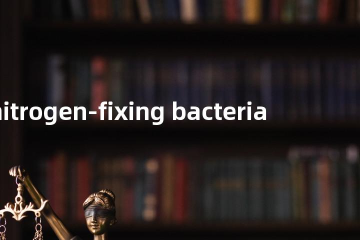 nitrogen-fixing bacteria单词图解，单词释义场景配图