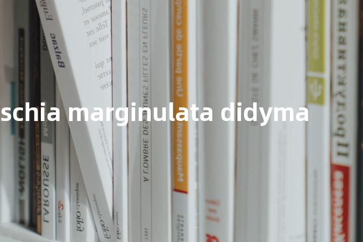 nitzschia marginulata didyma单词图解，单词释义场景配图