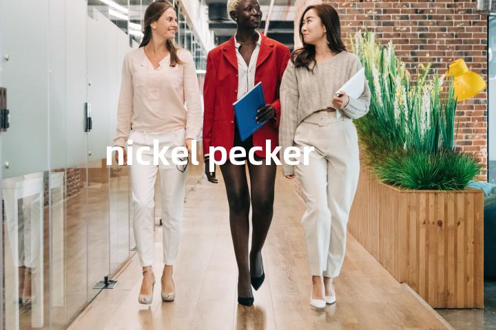 nickel pecker单词图解，单词释义场景配图