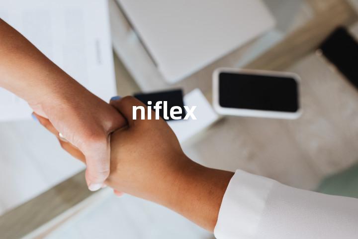 niflex单词图解，单词释义场景配图