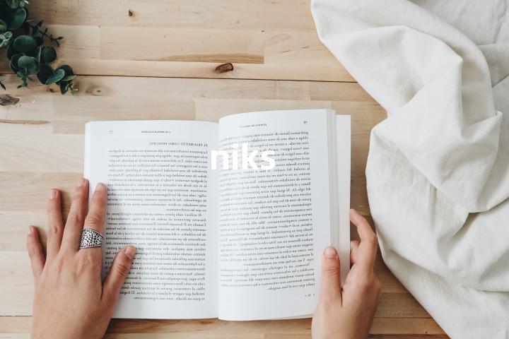 niks单词图解，单词释义场景配图