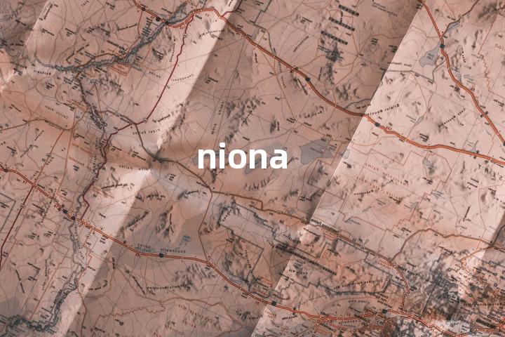 niona单词图解，单词释义场景配图