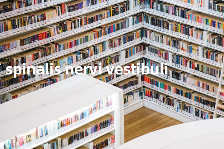 nuclei spinalis nervi vestibuli单词图解，单词释义场景配图