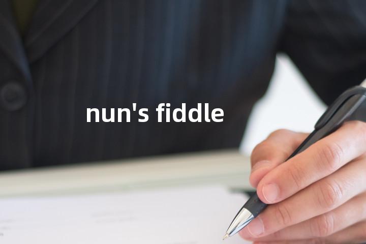nun's fiddle单词图解，单词释义场景配图