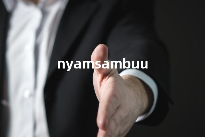 nyamsambuu单词图解，单词释义场景配图