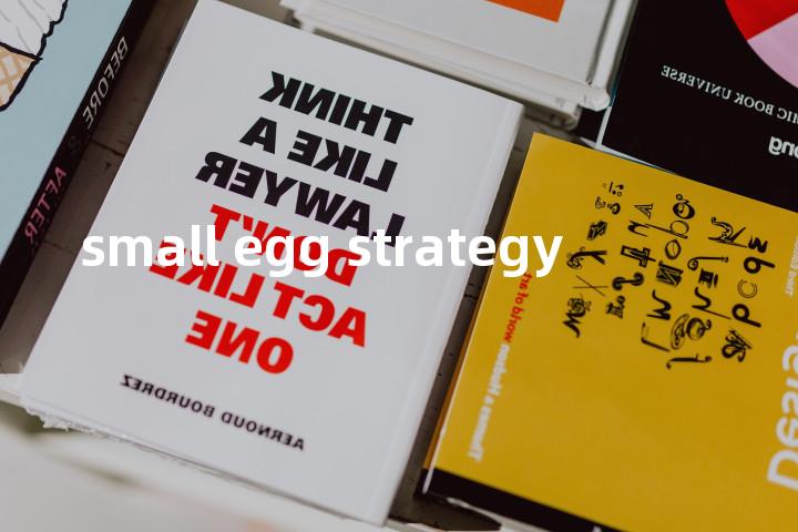 small egg strategy单词图解，单词释义场景配图
