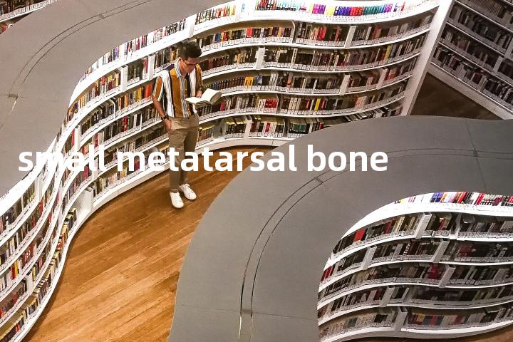small metatarsal bone单词图解，单词释义场景配图