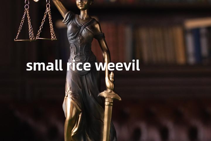 small rice weevil单词图解，单词释义场景配图