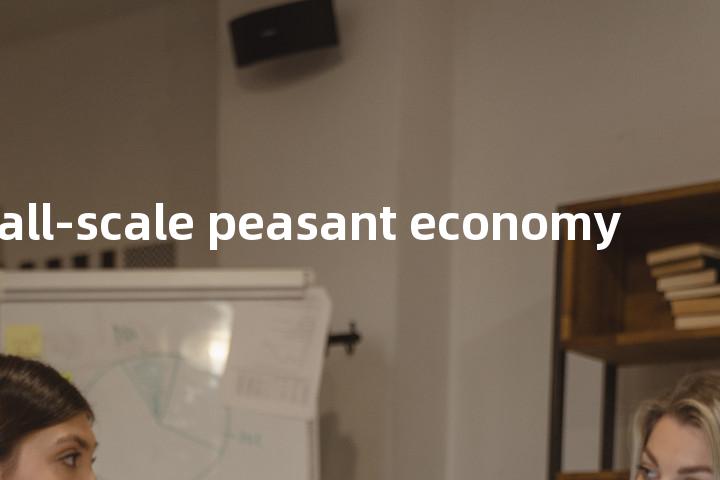 small-scale peasant economy单词图解，单词释义场景配图
