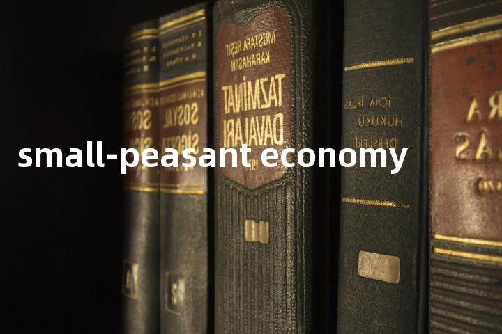 small-peasant economy单词图解，单词释义场景配图