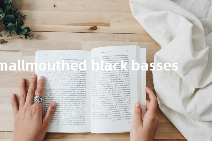 smallmouthed black basses单词图解，单词释义场景配图