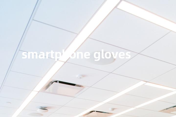 smartphone gloves单词图解，单词释义场景配图