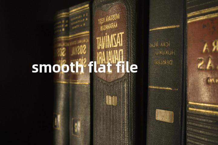 smooth flat file单词图解，单词释义场景配图