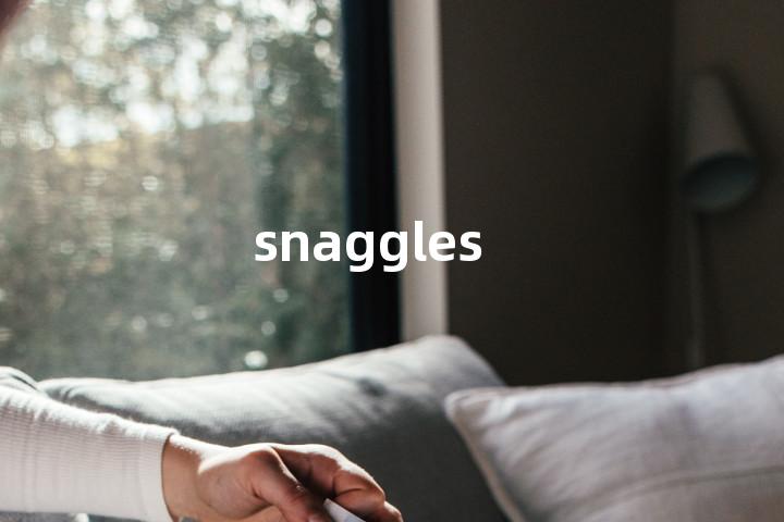 snaggles单词图解，单词释义场景配图