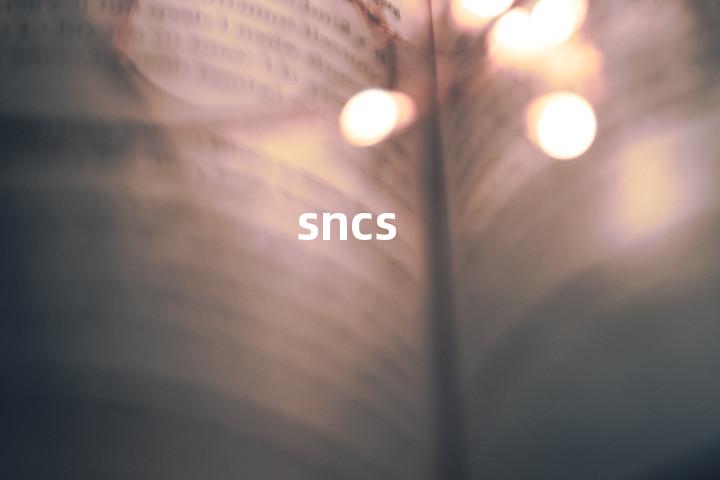 sncs单词图解，单词释义场景配图