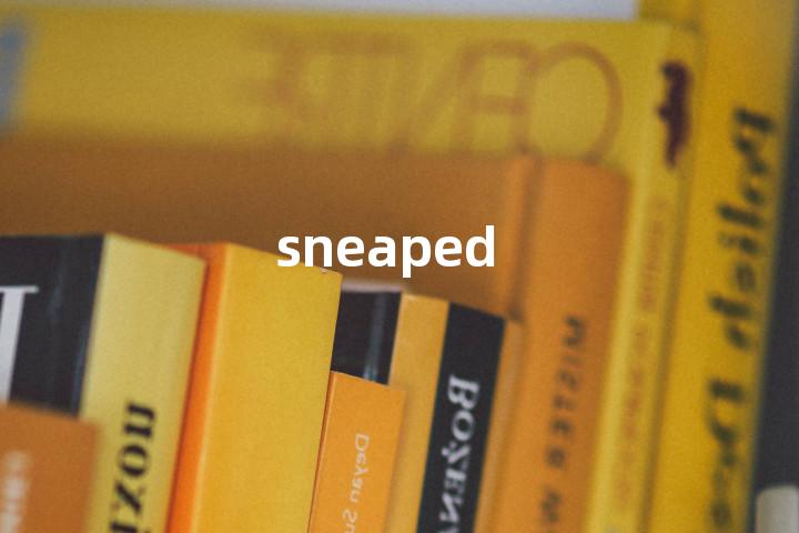 sneaped单词图解，单词释义场景配图