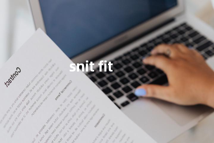 snit fit单词图解，单词释义场景配图