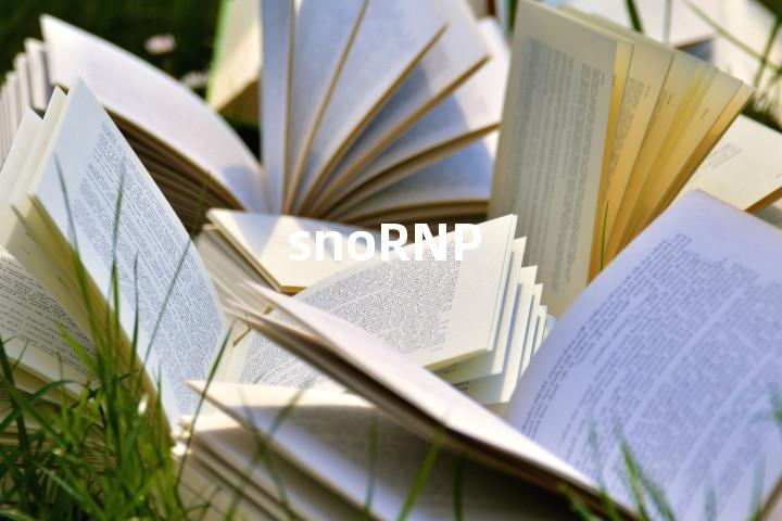 snoRNP单词图解，单词释义场景配图