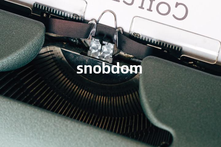 snobdom单词图解，单词释义场景配图