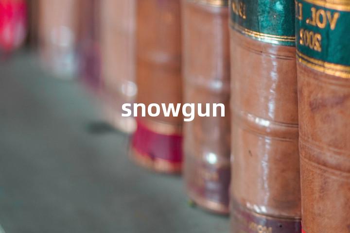 snowgun单词图解，单词释义场景配图