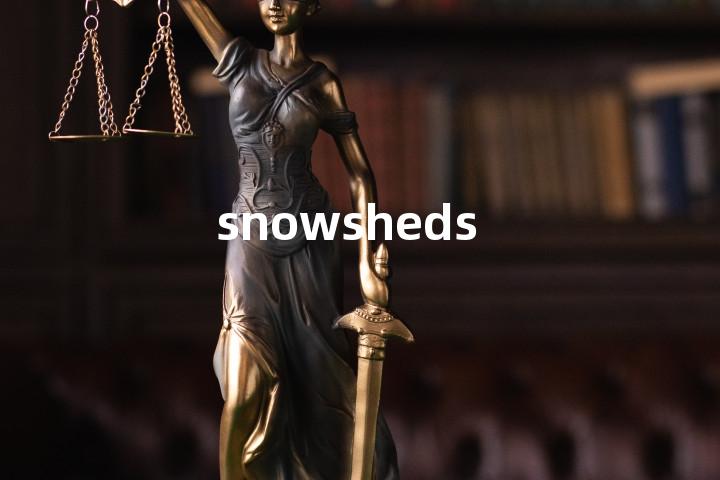 snowsheds单词图解，单词释义场景配图