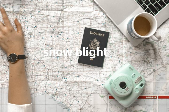 snow blight单词图解，单词释义场景配图
