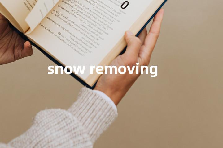 snow removing单词图解，单词释义场景配图