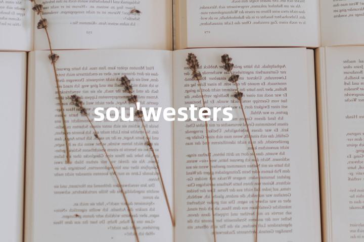 sou'westers单词图解，单词释义场景配图