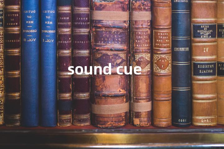 sound cue单词图解，单词释义场景配图