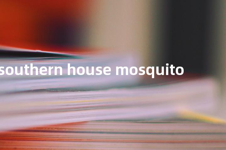 southern house mosquito单词图解，单词释义场景配图
