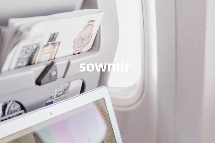 sowmir单词图解，单词释义场景配图