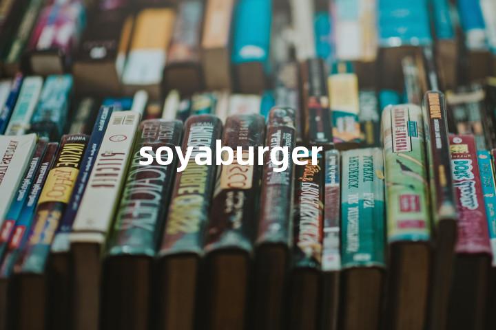 soyaburger单词图解，单词释义场景配图