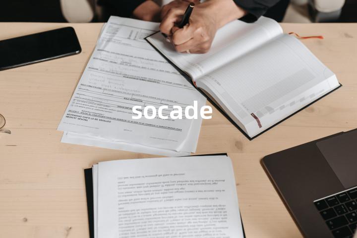 socade单词图解，单词释义场景配图