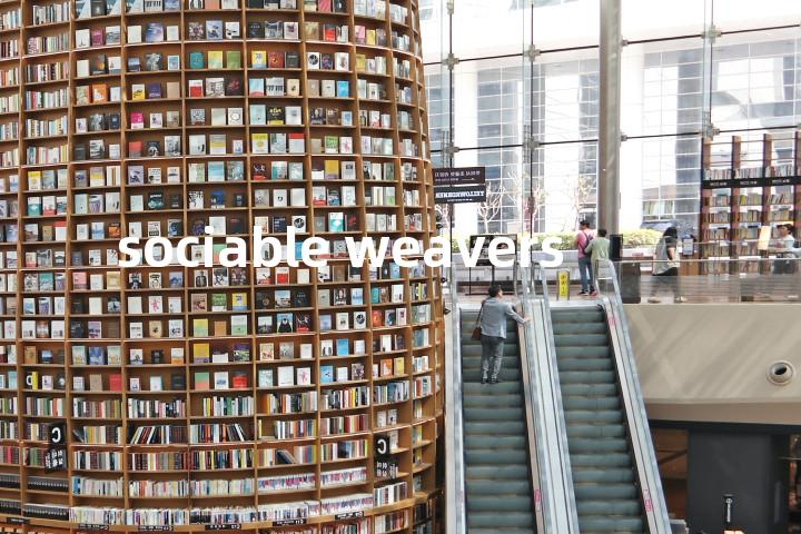 sociable weavers单词图解，单词释义场景配图
