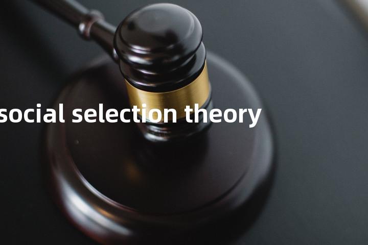 social selection theory单词图解，单词释义场景配图