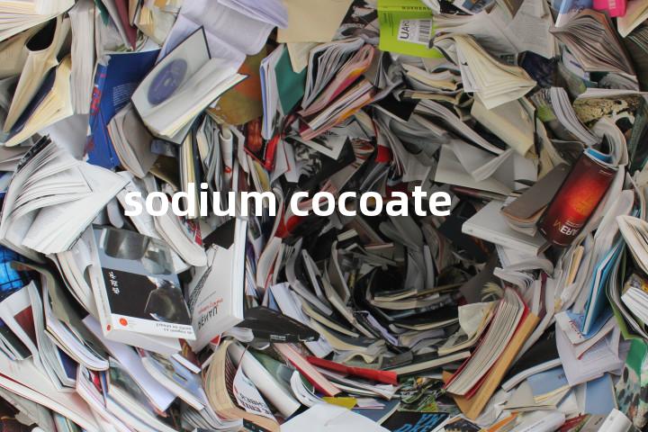 sodium cocoate单词图解，单词释义场景配图