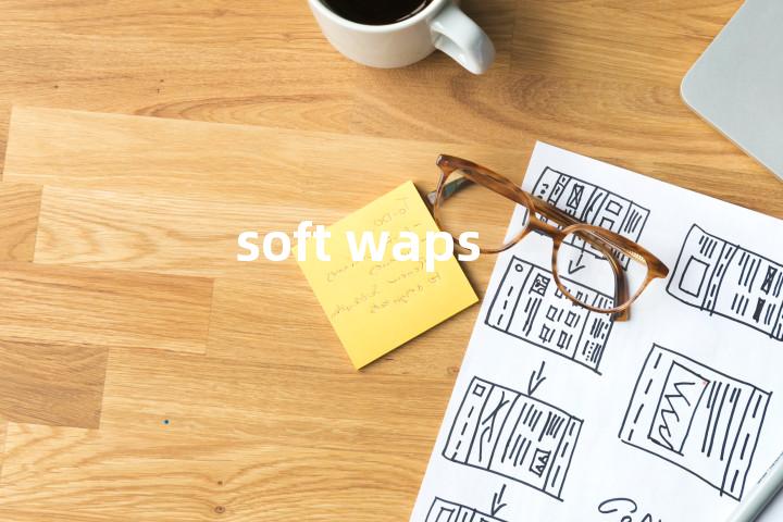 soft waps单词图解，单词释义场景配图