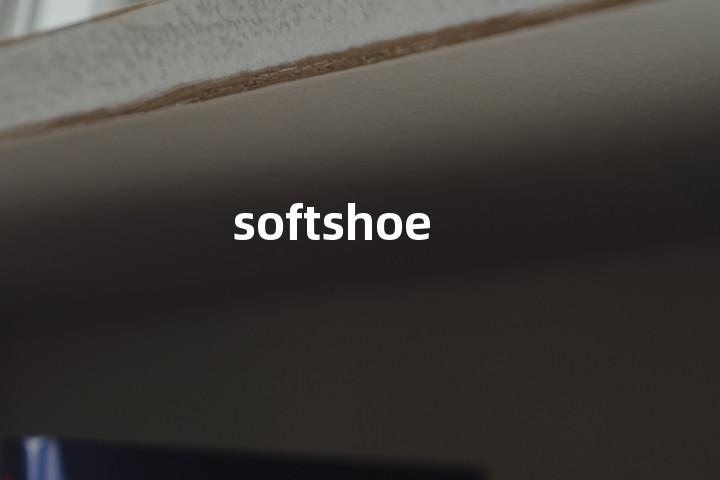 softshoe单词图解，单词释义场景配图