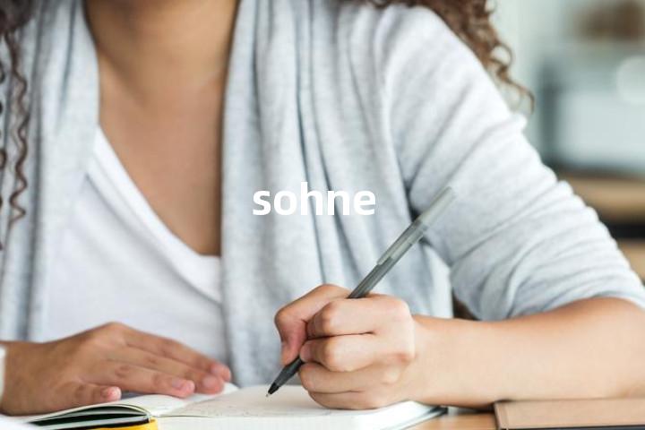 sohne单词图解，单词释义场景配图