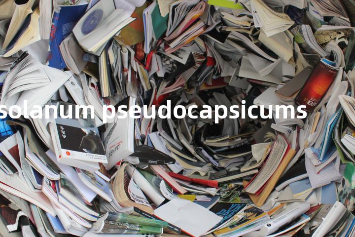 solanum pseudocapsicums单词图解，单词释义场景配图