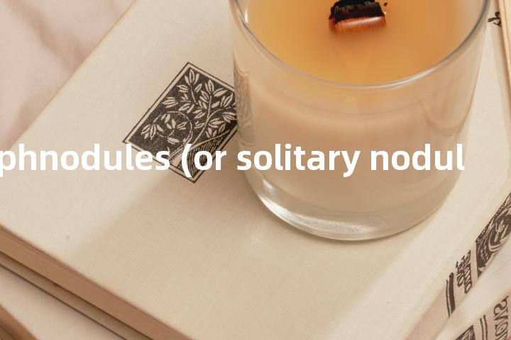 solitary lymphnodules (or solitary nodules)单词图解，单词释义场景配图