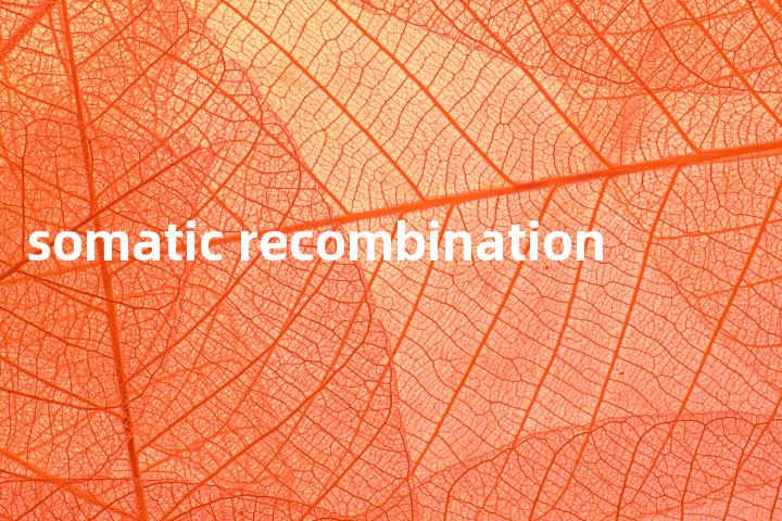 somatic recombination单词图解，单词释义场景配图