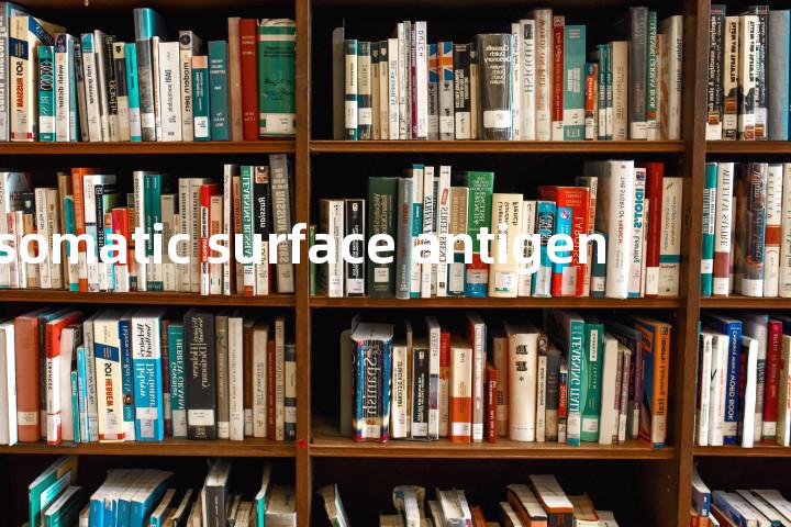 somatic surface antigen单词图解，单词释义场景配图