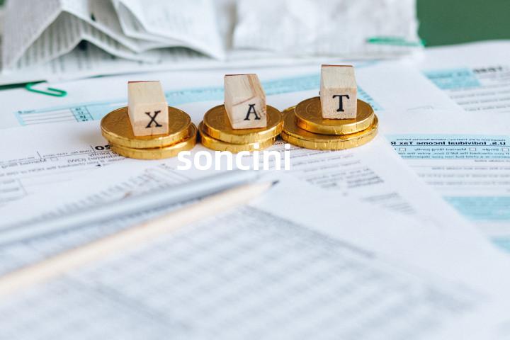 soncini单词图解，单词释义场景配图