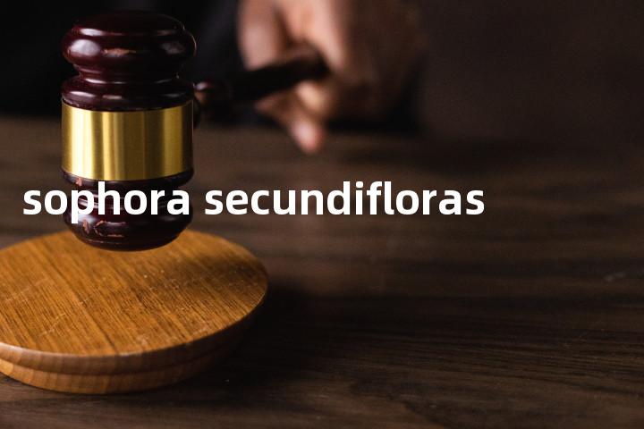 sophora secundifloras单词图解，单词释义场景配图