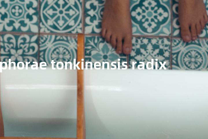 sophorae tonkinensis radix单词图解，单词释义场景配图
