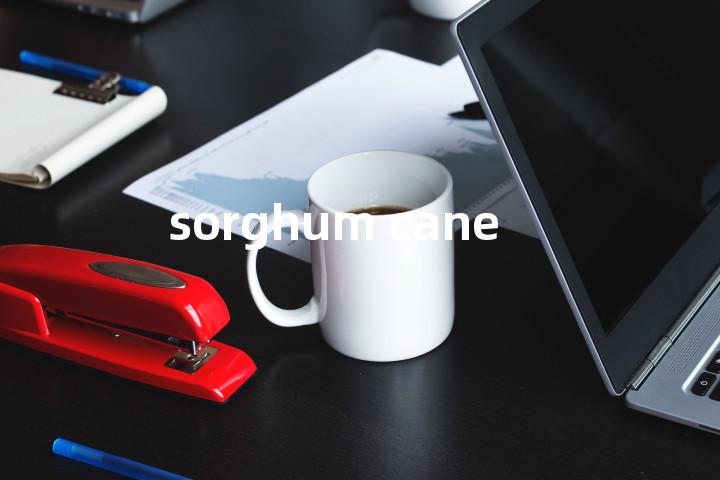 sorghum cane单词图解，单词释义场景配图