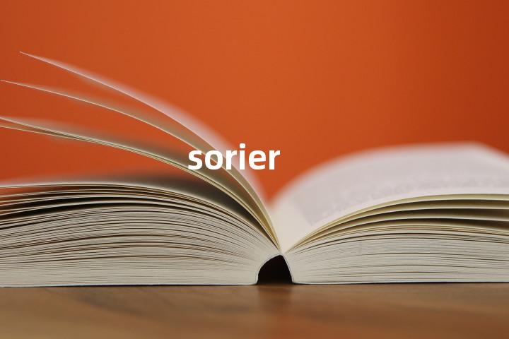 sorier单词图解，单词释义场景配图
