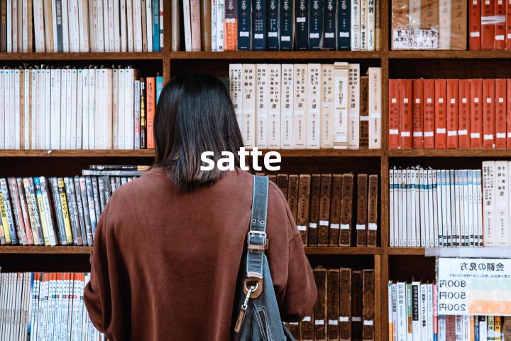 satte单词图解，单词释义场景配图